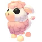 Angus Cow